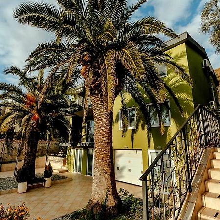 Olive Garden Apartment Petrovac Exterior photo