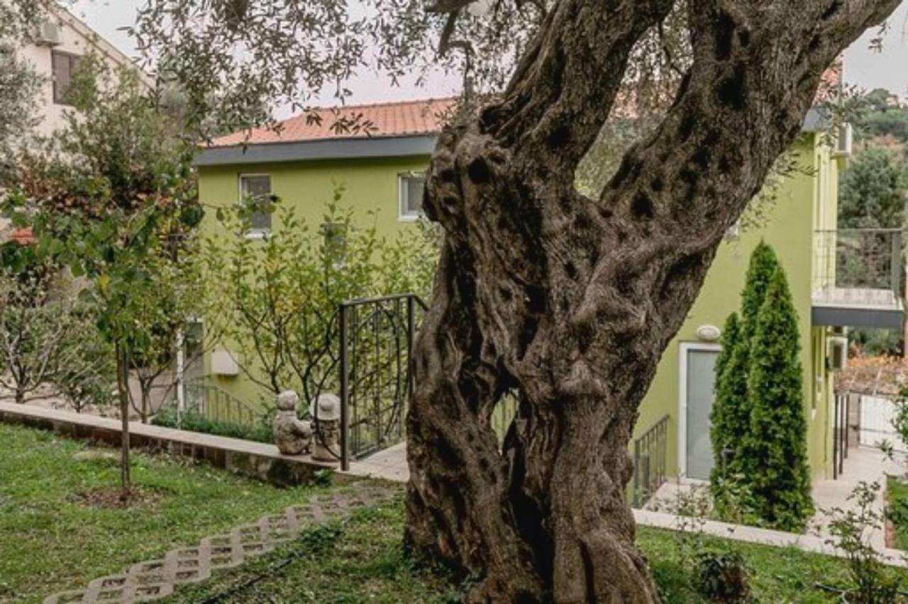 Olive Garden Apartment Petrovac Exterior photo
